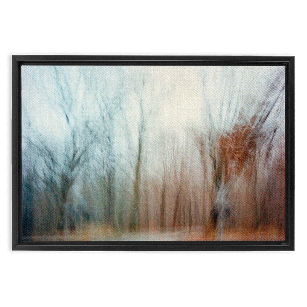 Ohio Framed Canvas Print