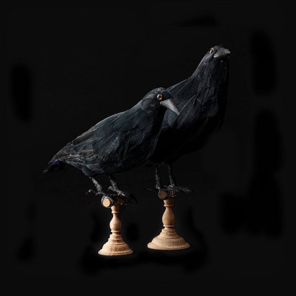 crow large design by puebco 1