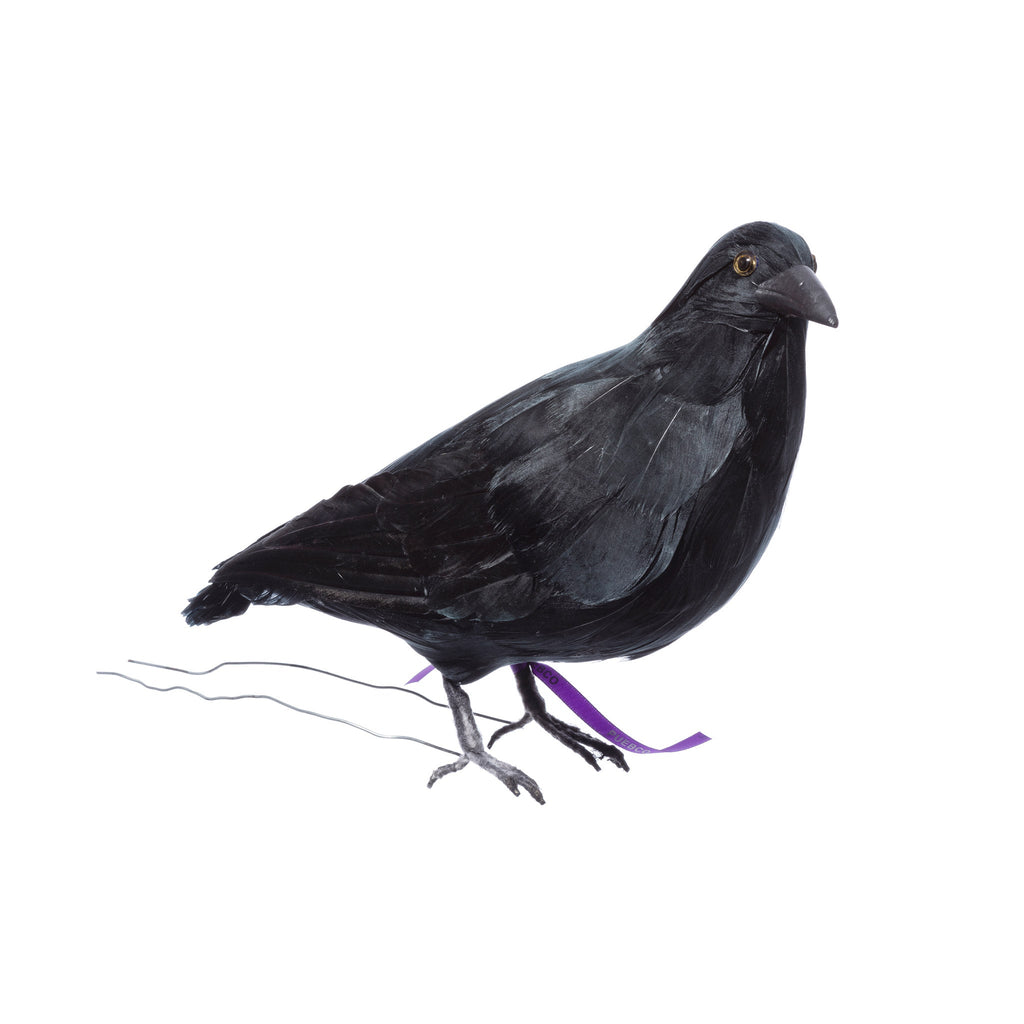 crow large design by puebco 2