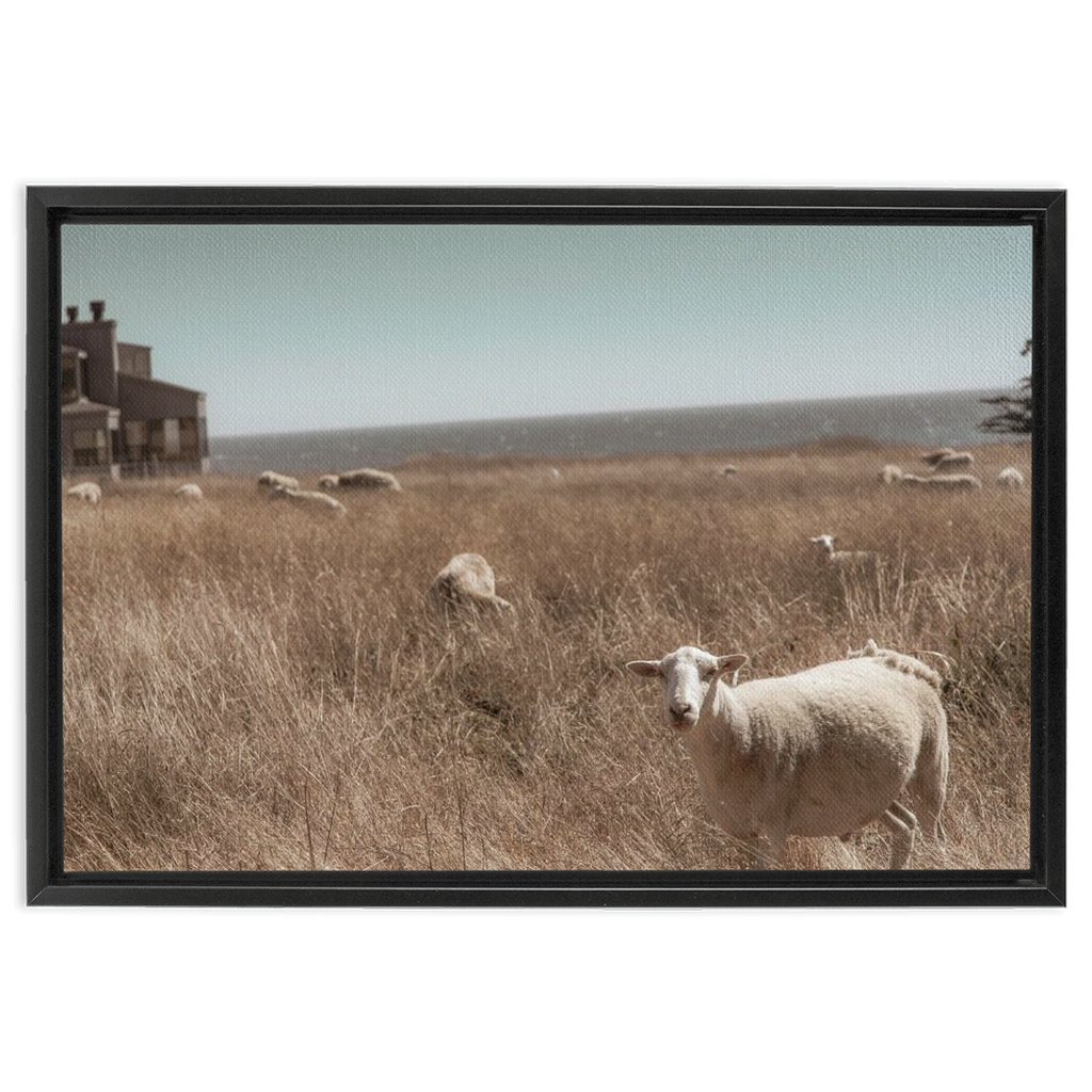 Sea Ranch Framed Canvas