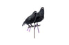 crow large design by puebco 4