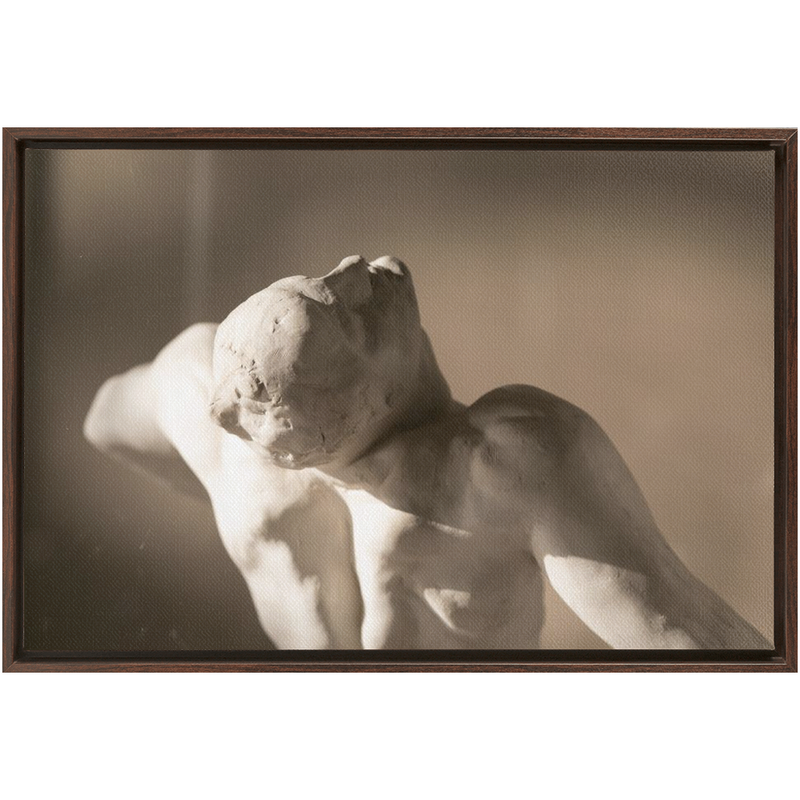 Rodin Framed Canvas