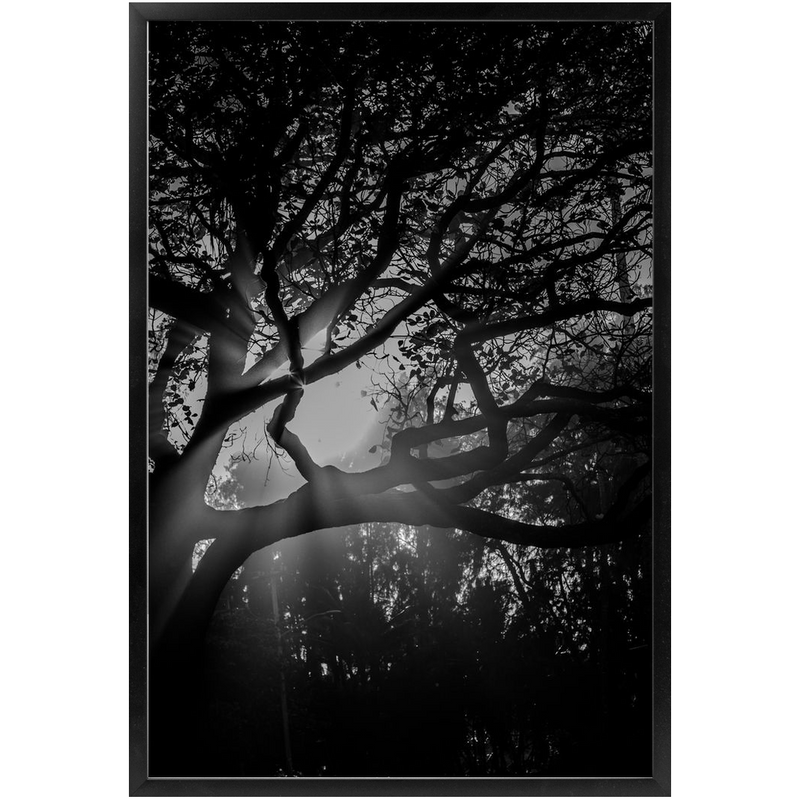 Island Light Framed Print