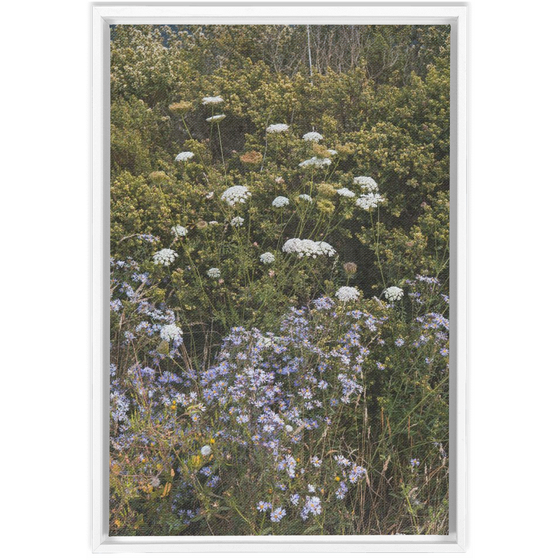 Wildflowers Framed Canvas