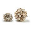 oyster shell ball in 2 assorted sizes design by twos company 1