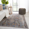 Namid Trellis Rug in Gray & Multicolor by Jaipur Living
