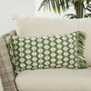 Chesa Perdita Indoor/Outdoor Green & Ivory Pillow 4
