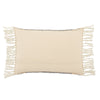 Liri Iker Indoor/Outdoor Light Blue & Ivory Pillow 2