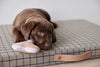 milo grid dog cushion 11