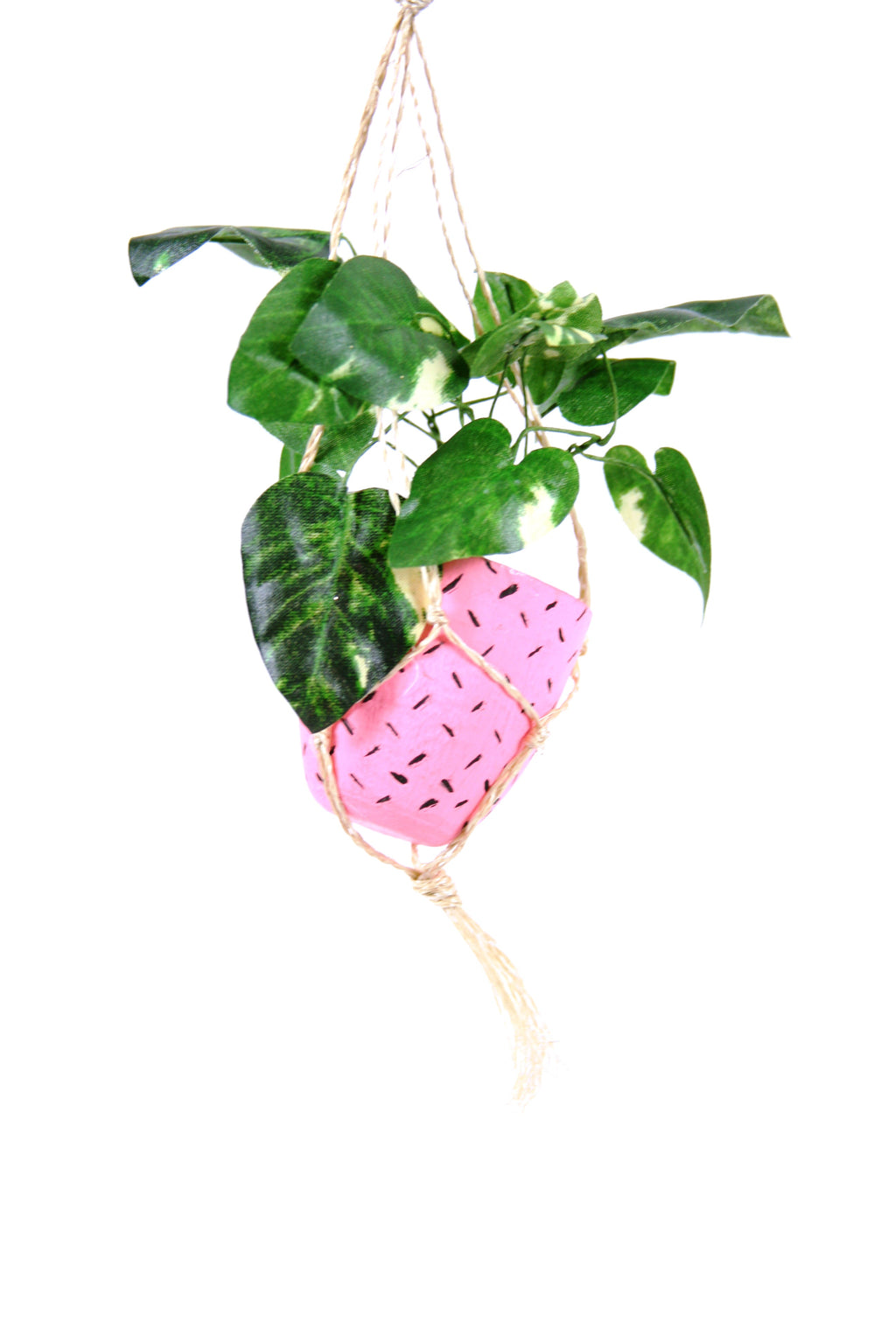 hanging plant pink 1