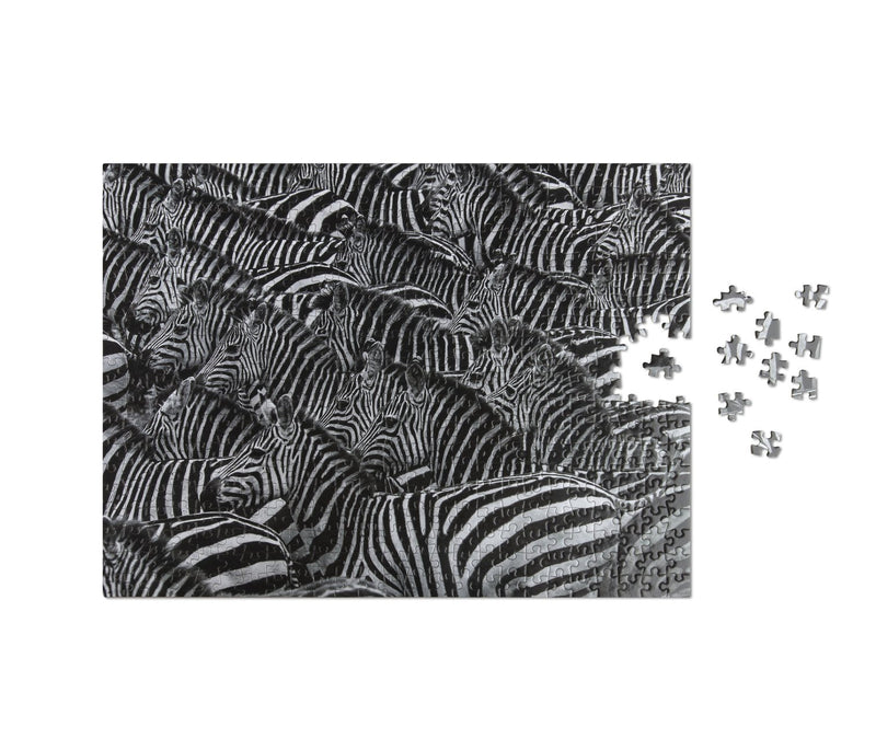 puzzle zebra wildlife pattern 2