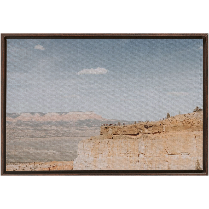 Grand Canyon Framed Canvas