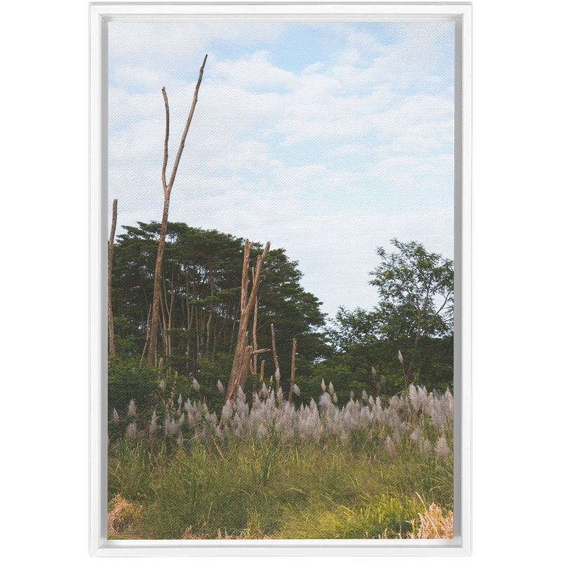 Meadow Framed Canvas