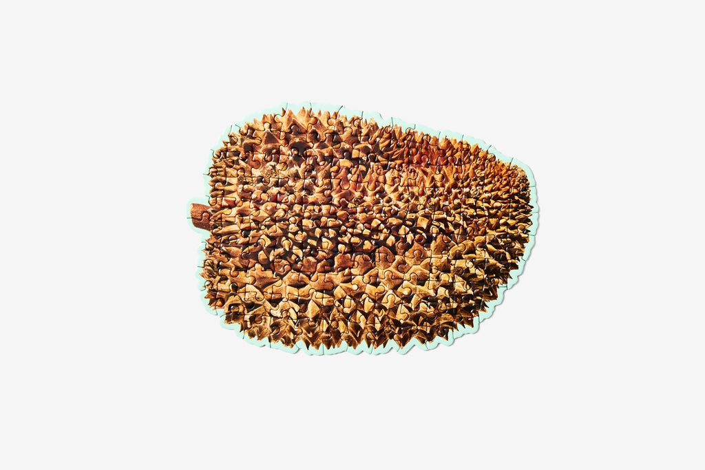 little puzzle thing durian 1