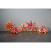 red white 5 point folding star ornament set of 4 4