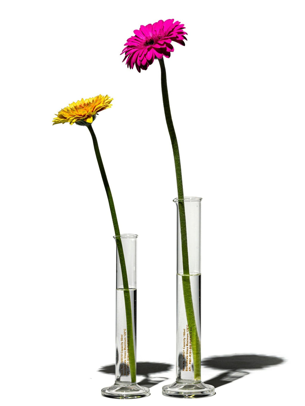 single flower vase 4