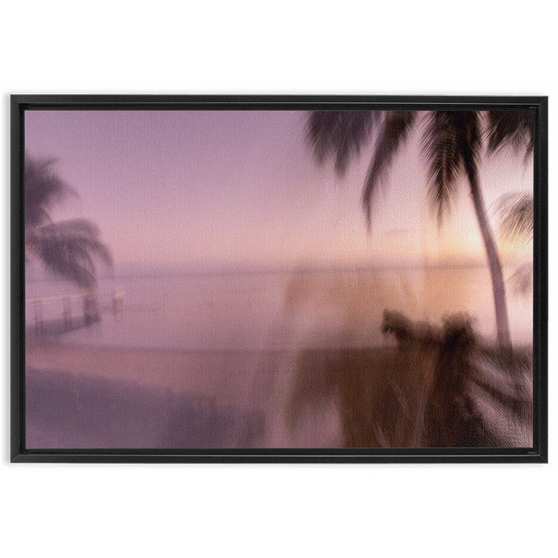spectra framed canvas 4