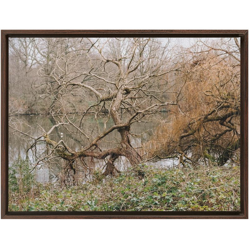 Kensington Gardens Framed Canvas