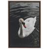 Swan Framed Canvas