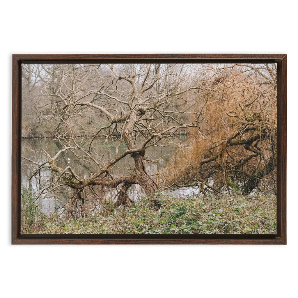Kensington Gardens Framed Canvas