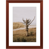 Lone Tree Framed Print