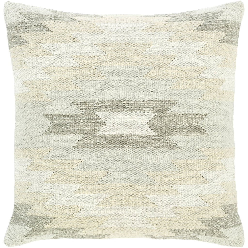 Anika ANI-003 Hand Woven Pillow in Ivory & Light Gray by Surya