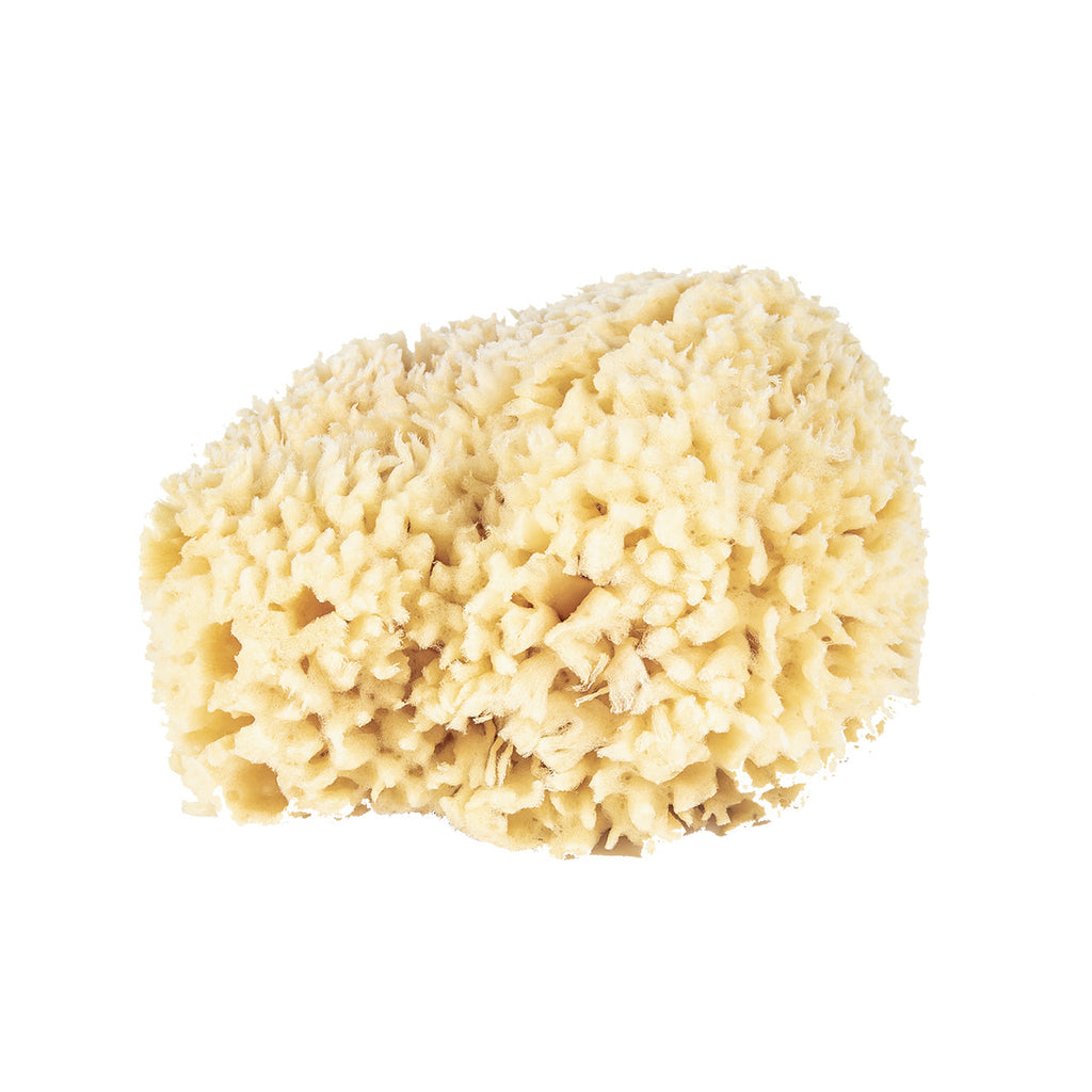 wool bath sponges 1