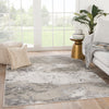 Catalyst Cisco Rug in Gray by Jaipur Living