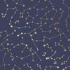 Constellations Removable Wallpaper in Navy