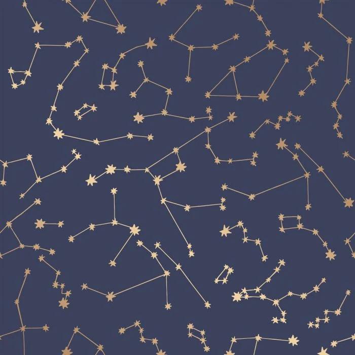Constellations Removable Wallpaper in Navy