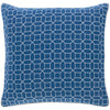 Fenna FEN-002 Woven Pillow in Sky Blue & White by Surya