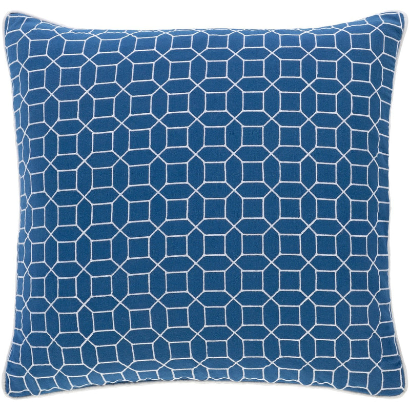 Fenna FEN-002 Woven Pillow in Sky Blue & White by Surya
