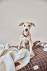 kaya dog blanket medium 8