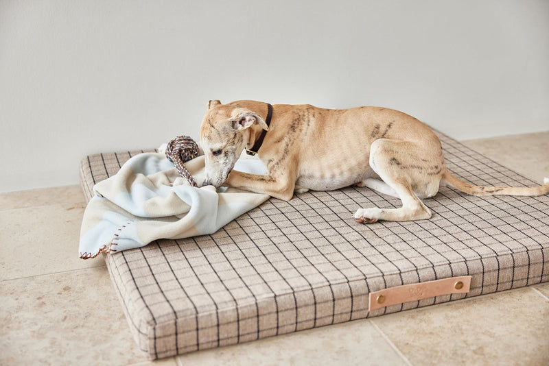kaya dog blanket medium 9