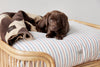kyoto dog cushion mellow 8
