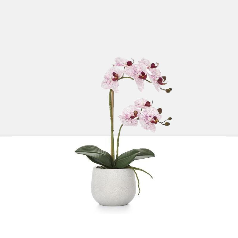 Phalaenopsis Potted 18" Faux Double Stem Orchid - Pink