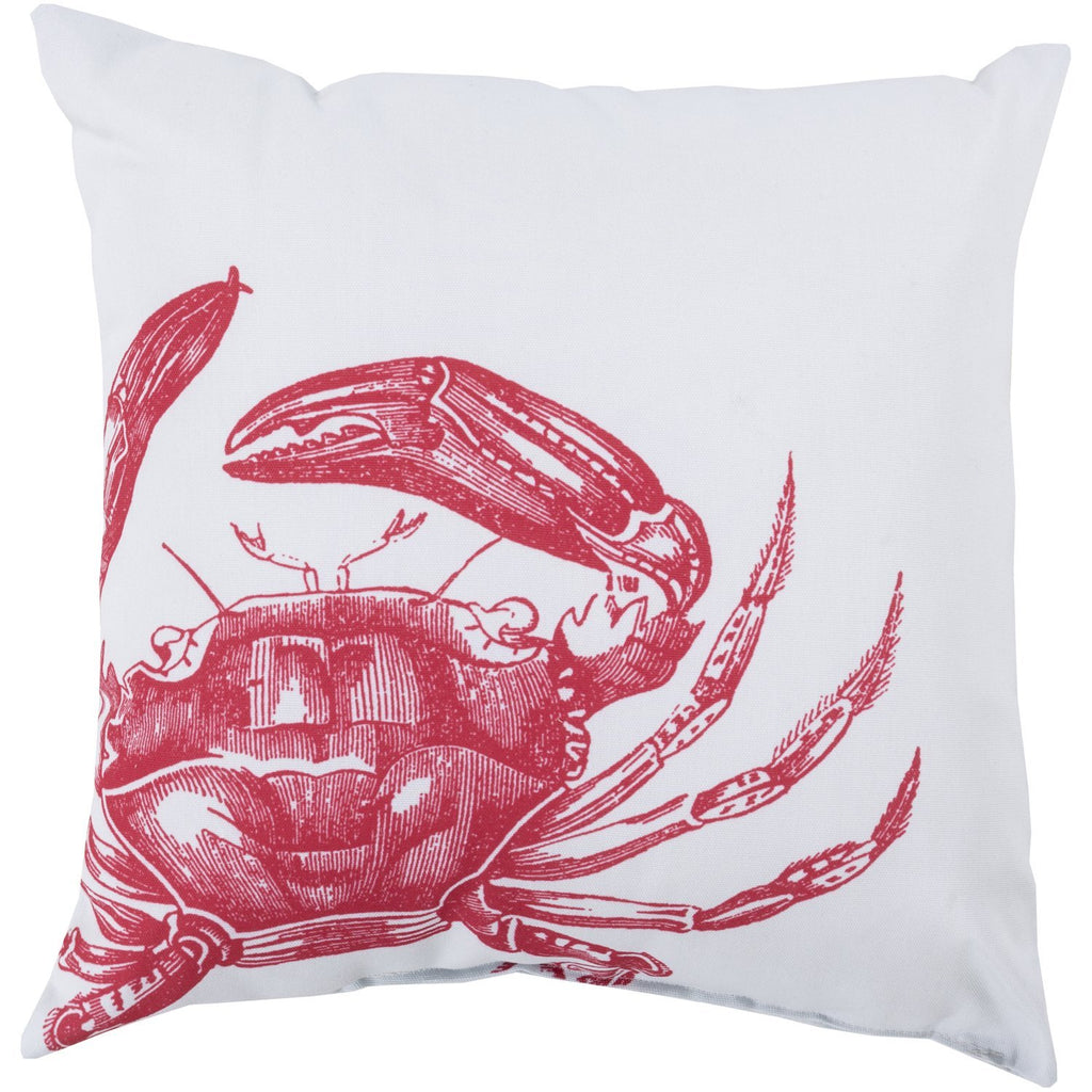 Rain RG-107 Pillow in Pale Blue & Bright Red by Surya