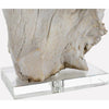 Darby Driftwood Table Lamp