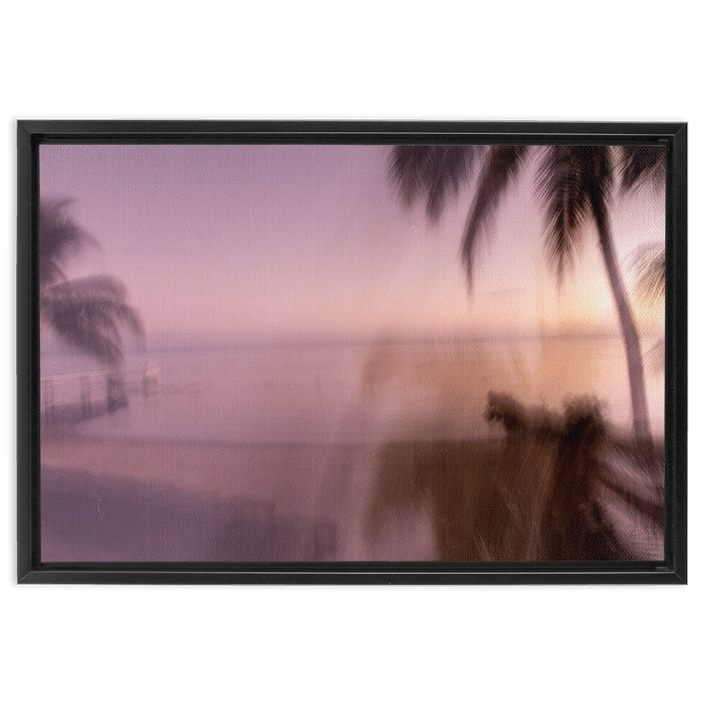 spectra framed canvas 1