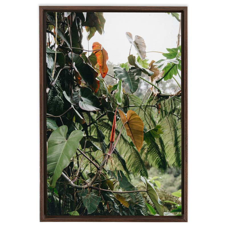Jungle Framed Canvas